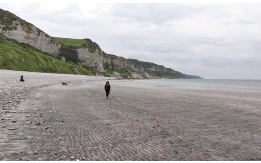 France 3-Bénédicte Drouet