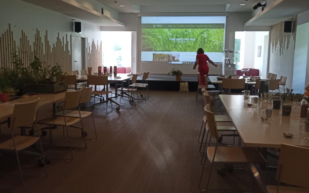 Atelier/animation RSE office de tourisme Caux Seine Normandie à l’ Abbaye du Valasse